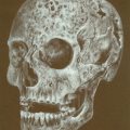 TTT 1.SKULL HOMO SAPIENS-72 DPI